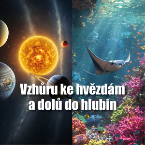 Planetárium a mořský svět